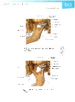 Sobotta Atlas of Human Anatomy  Head,Neck,Upper Limb Volume1 2006, page 70